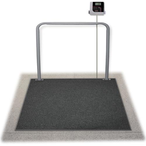 Ricelake VS-37 In Floor Veterinary Scale with USB, 1000 lb x 0.2 lb