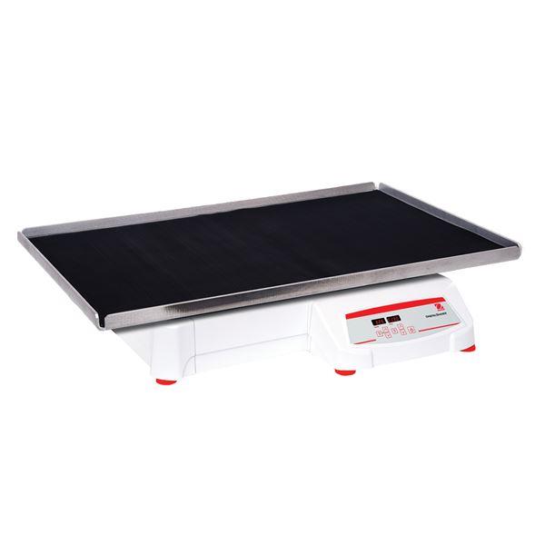 Ohaus SHHD6825DG Heavy Duty Orbital Shakers