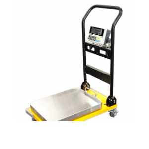 CAS CWP-300 Portable Digital Utility Scale, 300 lb