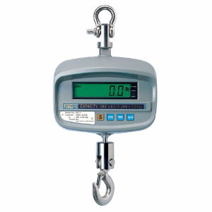 CAS NC1-1000 Crane Scale, 1000 lb