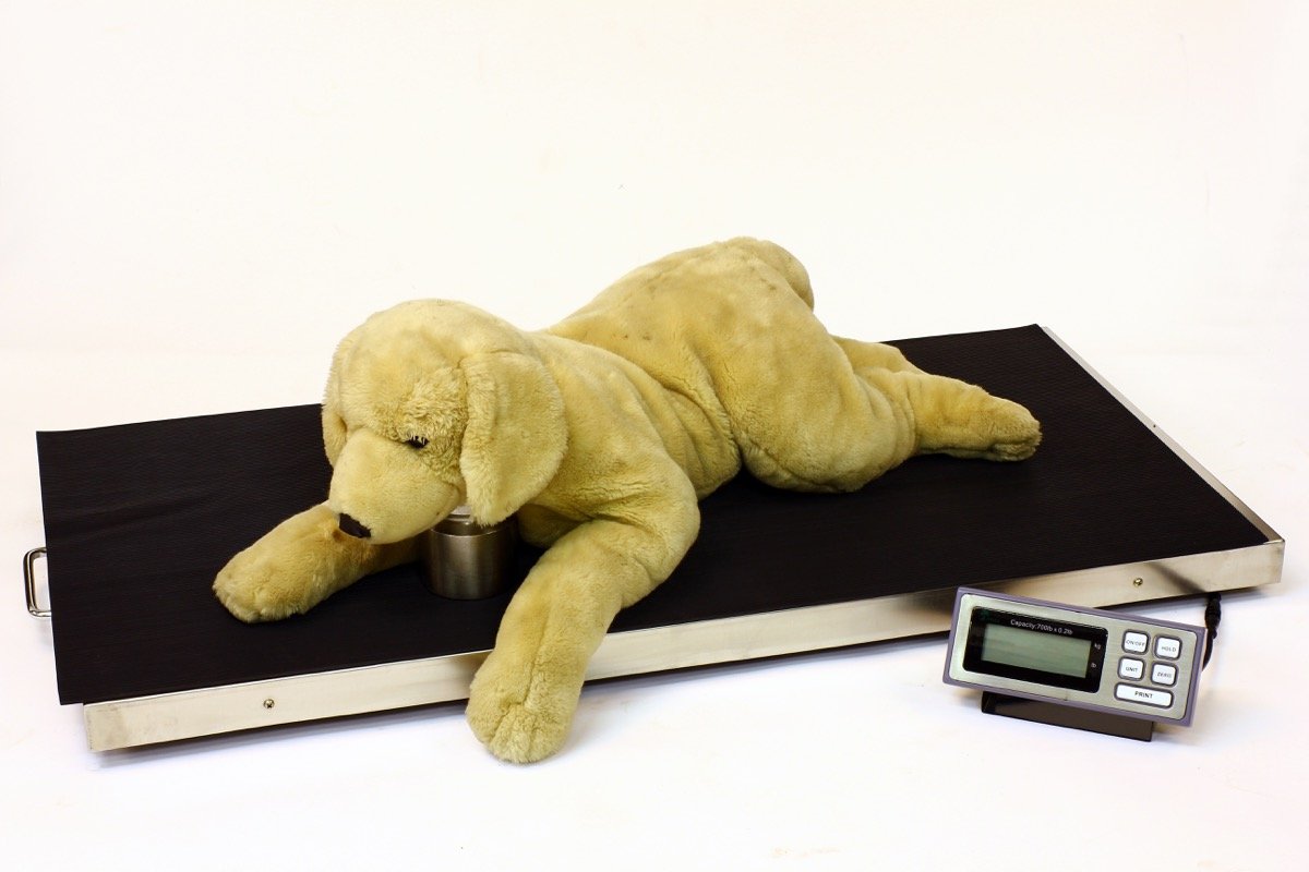TREE LVS 700 Veterinary Scale, 700 lb Capacity, 0.2 lb Readability