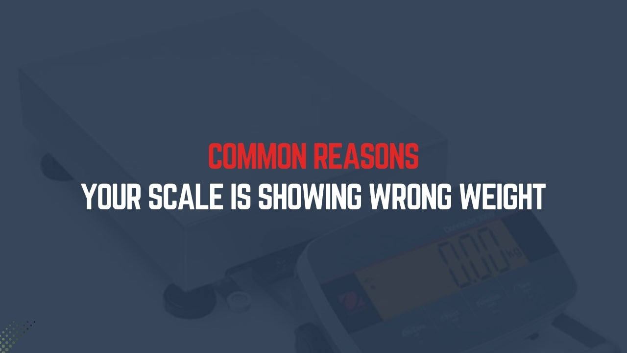 Common Reasons Your Scale Is Showing Wrong Weight