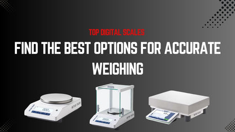 Top Digital Scales: Find the Best Options for Accurate Weighing