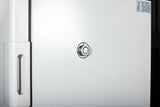 Being BIC-60C BIC Series Cooling Incubator, Programmable P.I.D. Controller, Accessory port, 2.4 cu ft (68 liters)